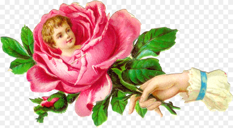 Victorian Flowers Clip Art Clip Art, Rose, Plant, Flower, Flower Arrangement Free Png