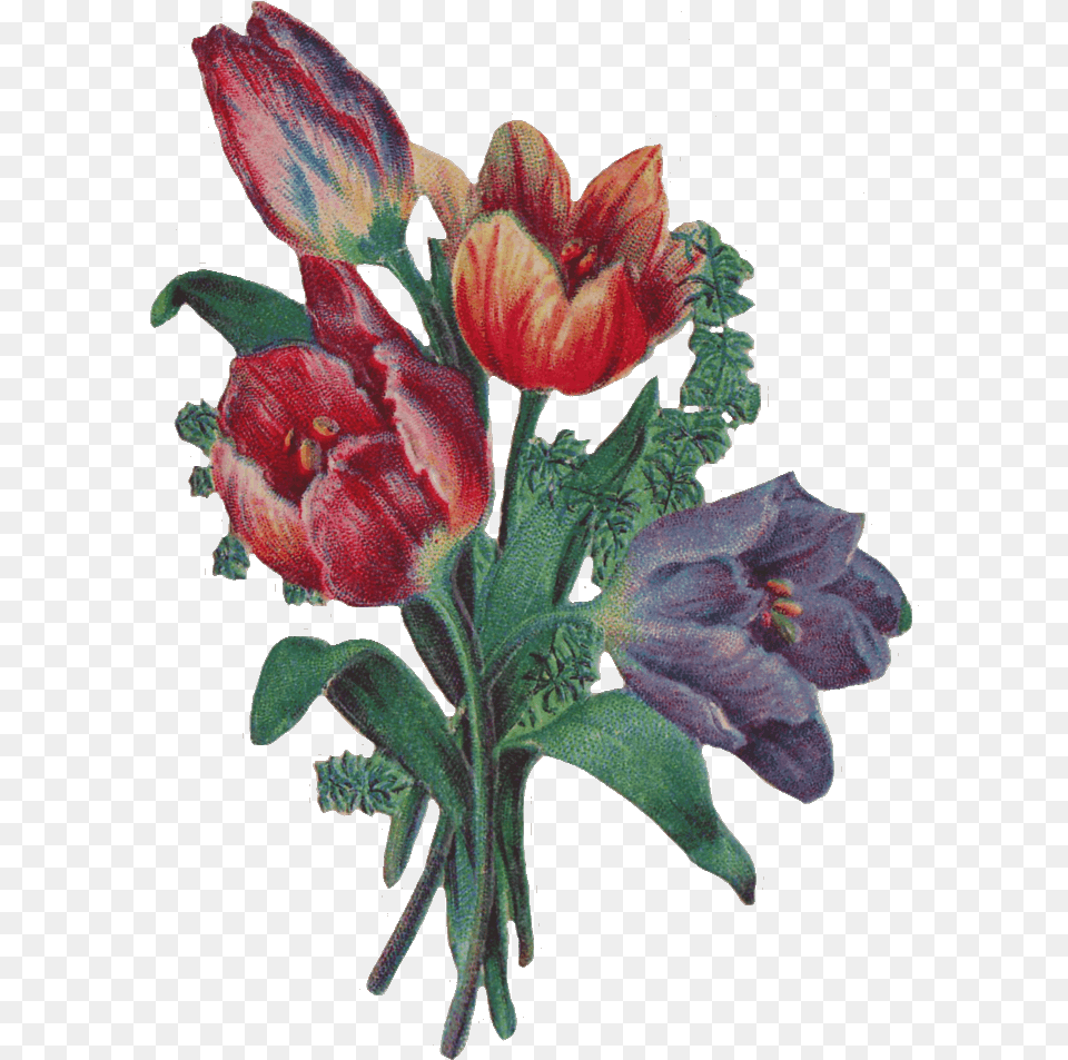 Victorian Flowers Cliparts Clipart Victorian Flower, Plant, Petal, Art, Painting Free Png Download