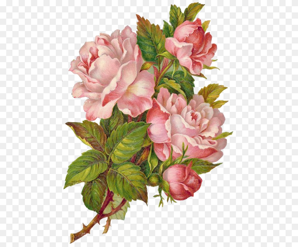 Victorian Flowers Vintage Transparent Overlay Flower, Plant, Rose, Art, Painting Png Image