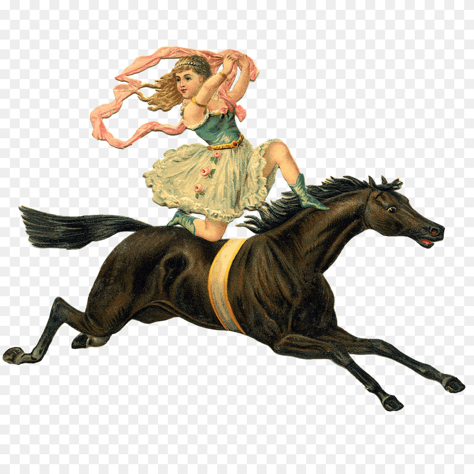 Victorian Girl Horse, Person, Animal, Mammal, Face Png