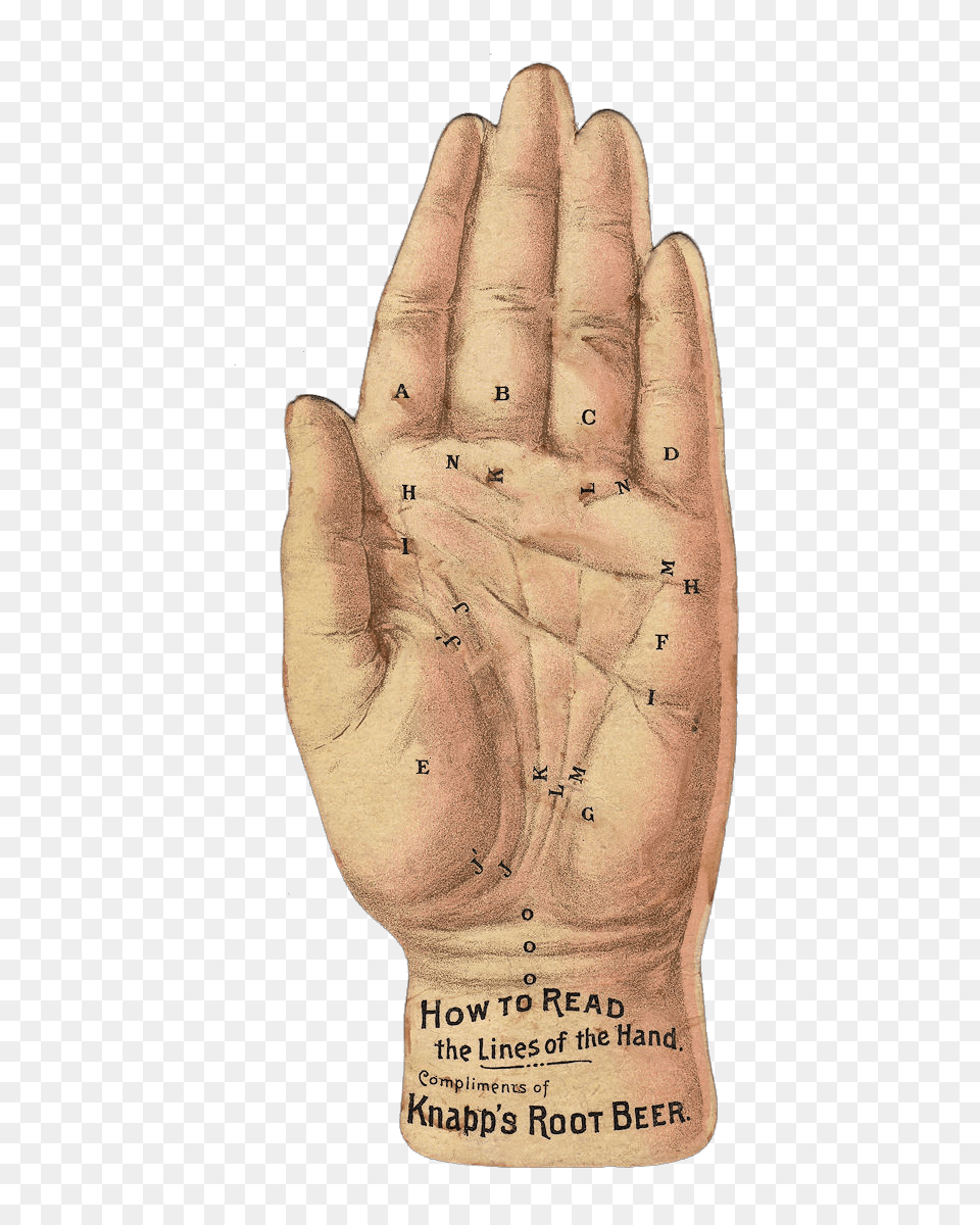 Victorian Hand, Person, Body Part, Clothing, Glove Free Transparent Png