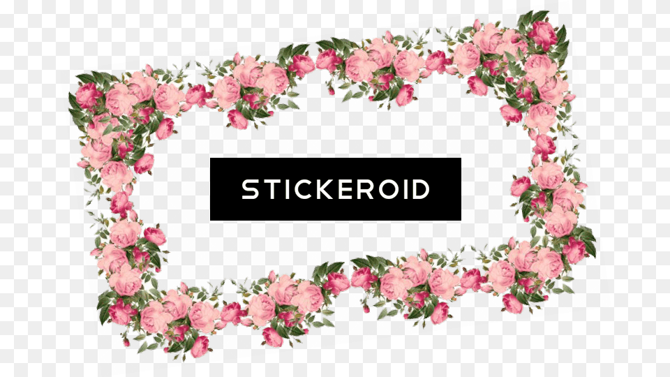 Victorian Pink Frame Transparent Background Floral Border Flower Borders, Rose, Plant, Pattern, Graphics Png