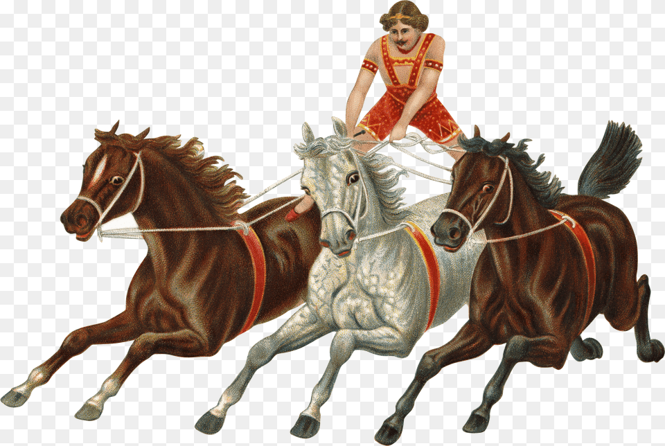 Victorian Vintage Horses Carriage, Adult, Man, Male, Person Free Transparent Png