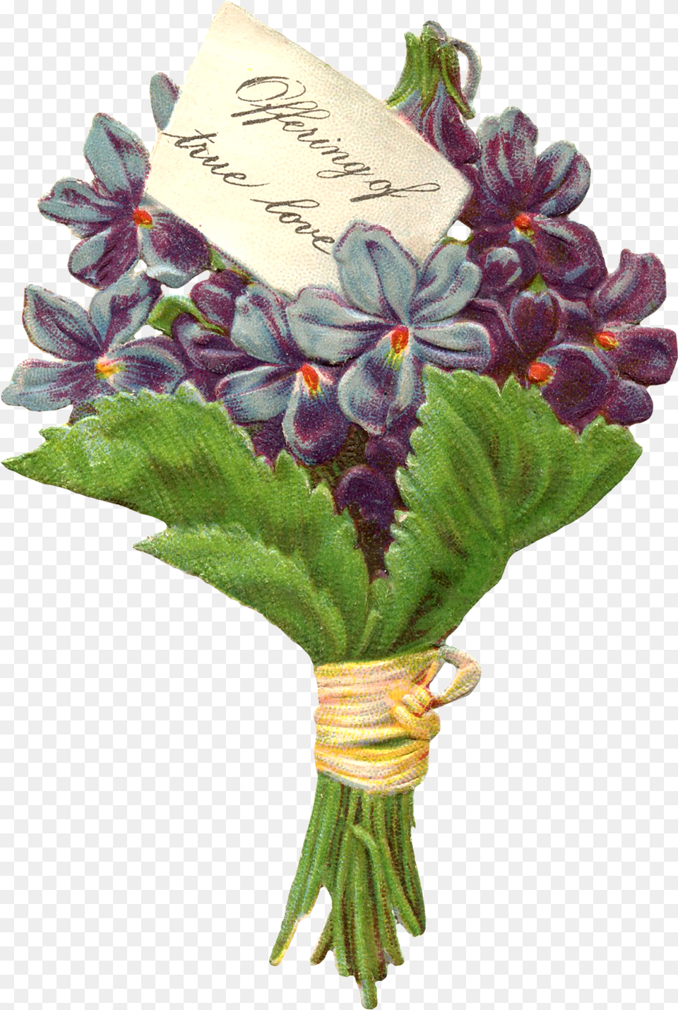 Victorian Violet, Flower, Flower Arrangement, Flower Bouquet, Plant Free Png