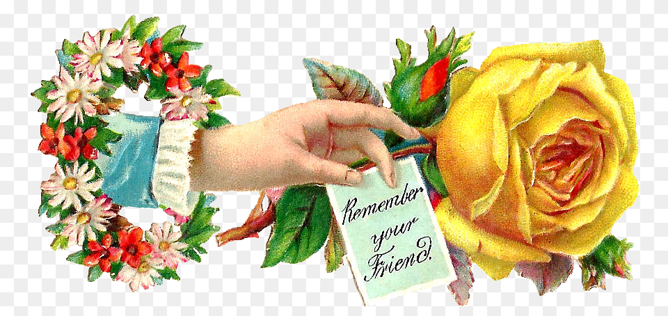 Victorian Yellow Rose, Accessories, Flower, Flower Arrangement, Plant Png Image