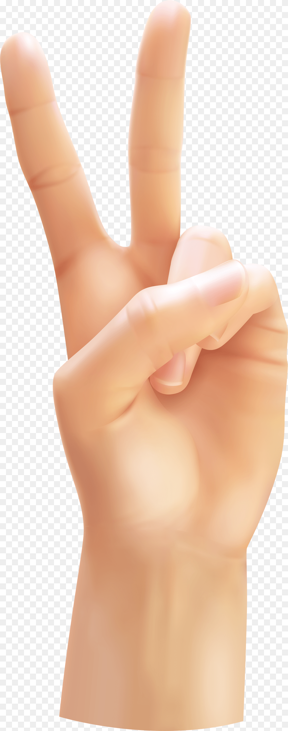 Victory Hand Gesture, Body Part, Finger, Person, Adult Free Png Download