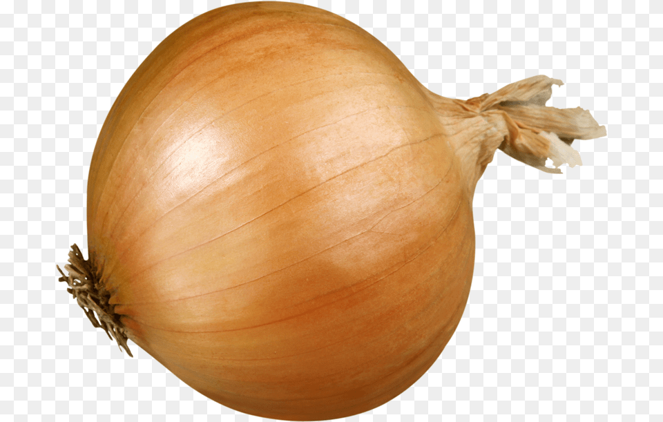 Vidalia Onion, Food, Produce, Plant, Vegetable Free Png