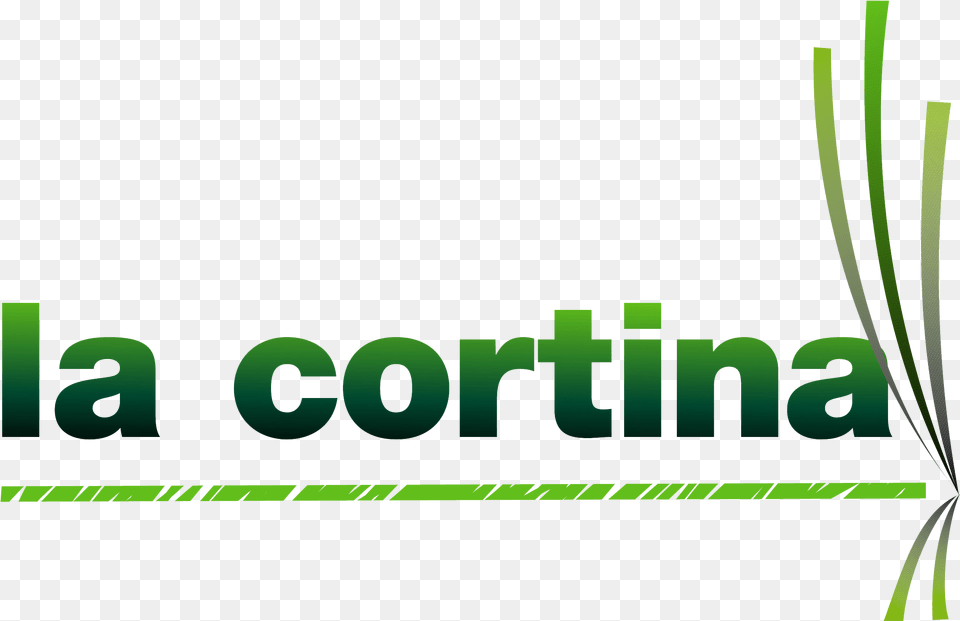 Video Production Marketing Logotipos De Empresas De Cortinas, Green, Plant, Vegetation, Art Png Image