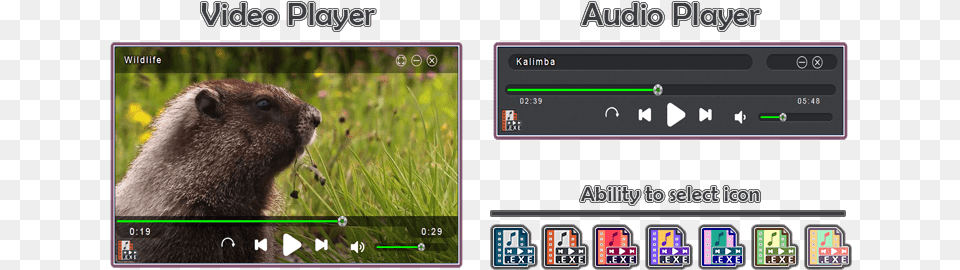 Video To Exe Converter Mp3 Groundhog Day, Animal, Mammal, Rodent, Wildlife Free Png Download