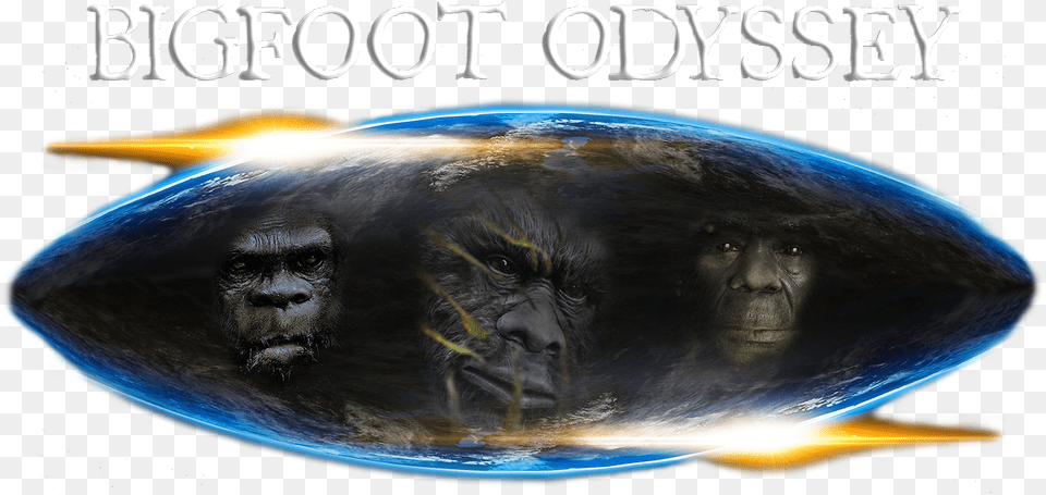 Video Tony Joins Bigfoot Odyssey As A Guest Host U2014 The, Animal, Mammal, Monkey, Wildlife Png Image