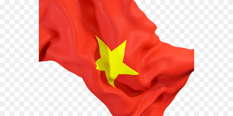 Vietnam Waving Flag Icon, Flower, Plant, Rose, Vietnam Flag Free Png Download