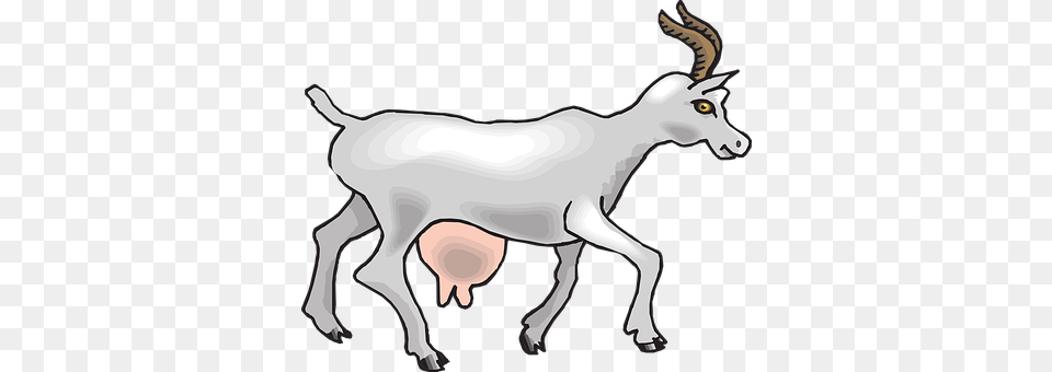 View Livestock, Animal, Mammal, Goat Png