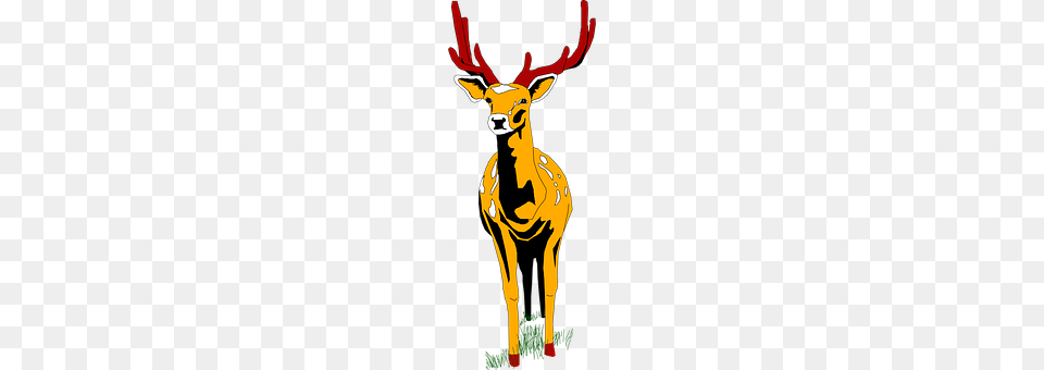 View Animal, Deer, Mammal, Wildlife Png Image