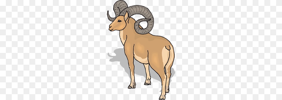 View Animal, Mammal, Livestock, Person Png Image