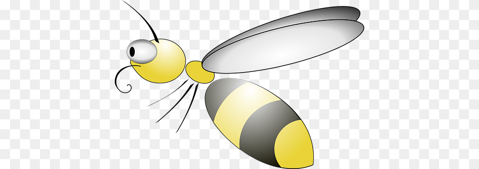 View Animal, Bee, Insect, Invertebrate Png Image