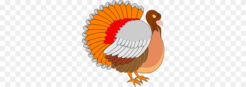 View Animal, Bird Png