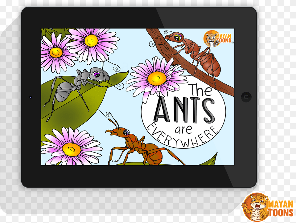 View All The Educational Comics Books About Guatemala Common Zinnia, Animal, Daisy, Flower, Plant Free Transparent Png