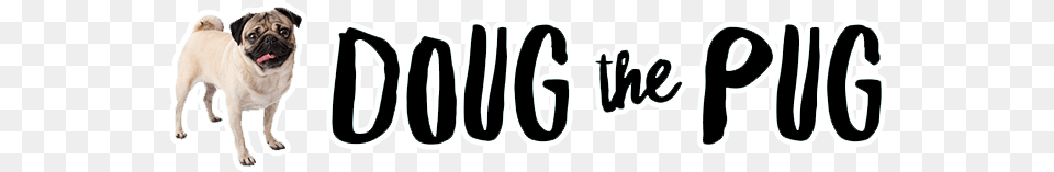 View Cart Doug The Pug Logo, Animal, Canine, Dog, Mammal Png