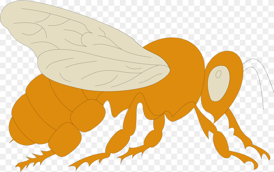 View Clipart, Animal, Bee, Honey Bee, Insect Png Image