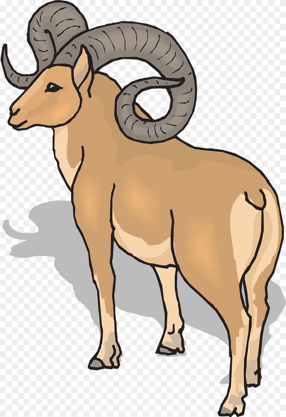 View Clipart, Animal, Mammal, Livestock, Person Png Image