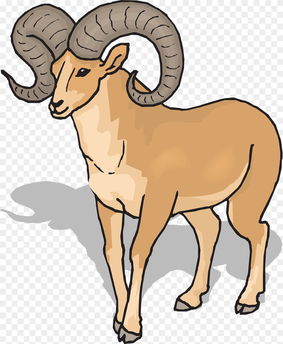 View Clipart, Person, Animal, Mammal, Face Png Image