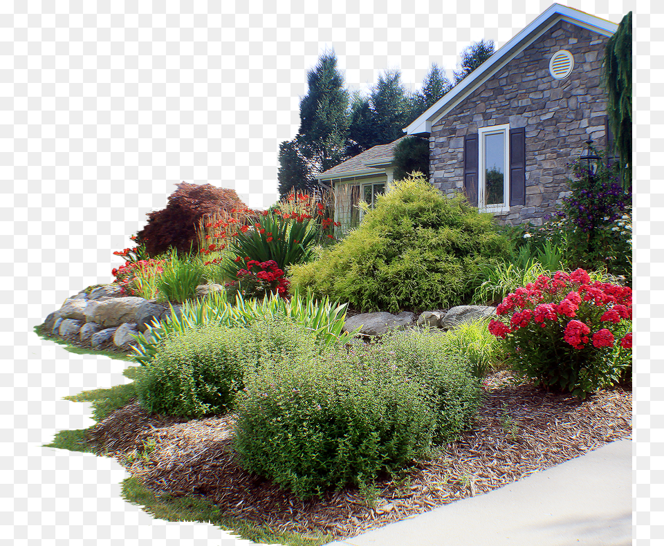 View Examples In Gallery Landscaping, Nature, Vegetation, Plant, Garden Free Transparent Png