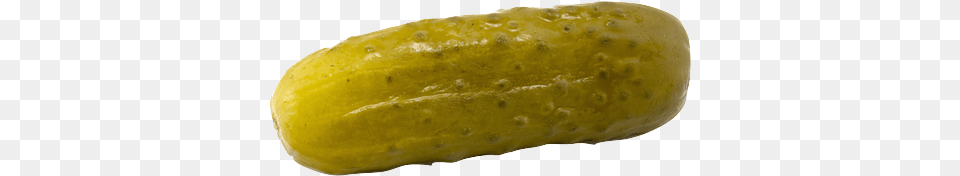 View Full Demo And Project Files For Dn Dill Pickle, Food, Relish, Produce Free Png