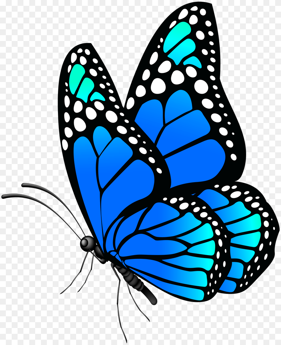 View Full Size, Animal, Butterfly, Insect, Invertebrate Free Png