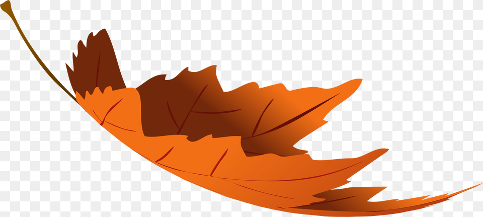 View Full Size Autumn Leaves Transparent, Leaf, Plant, Maple Leaf, Tree Png Image