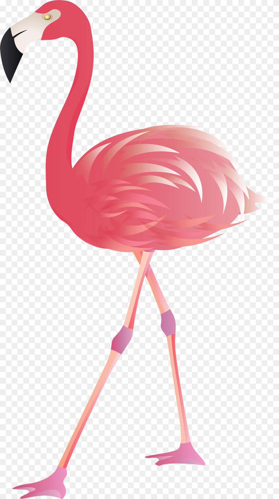 View Full Size Flamingo Transparent Background Flamingo, Animal, Bird Png Image