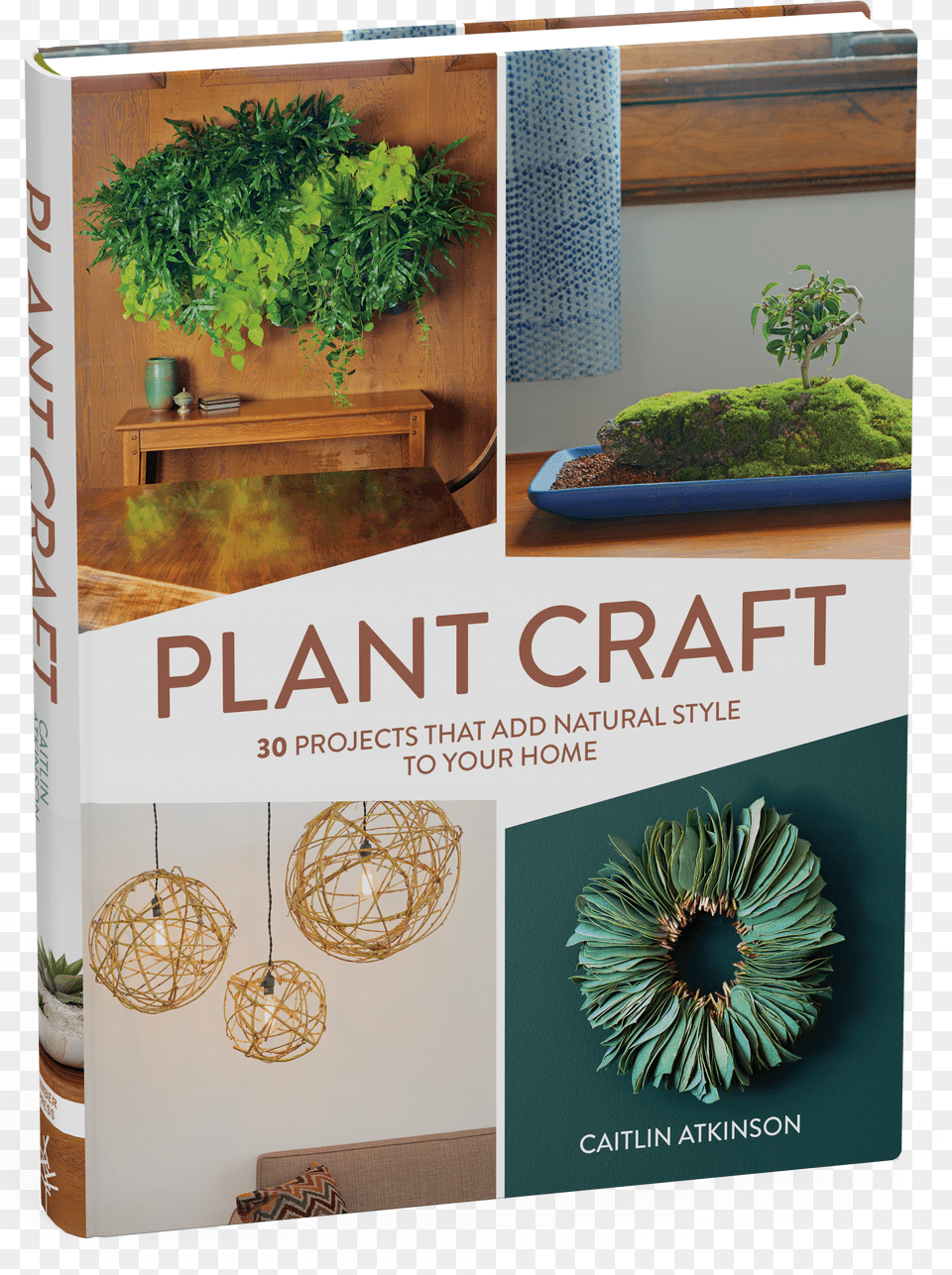 View Full Size Image Free Png Download