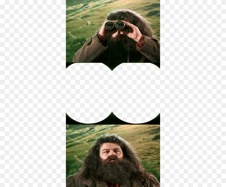View Image Harry Potter Hagrid Meme, Accessories, Sunglasses, Beard, Face Free Transparent Png