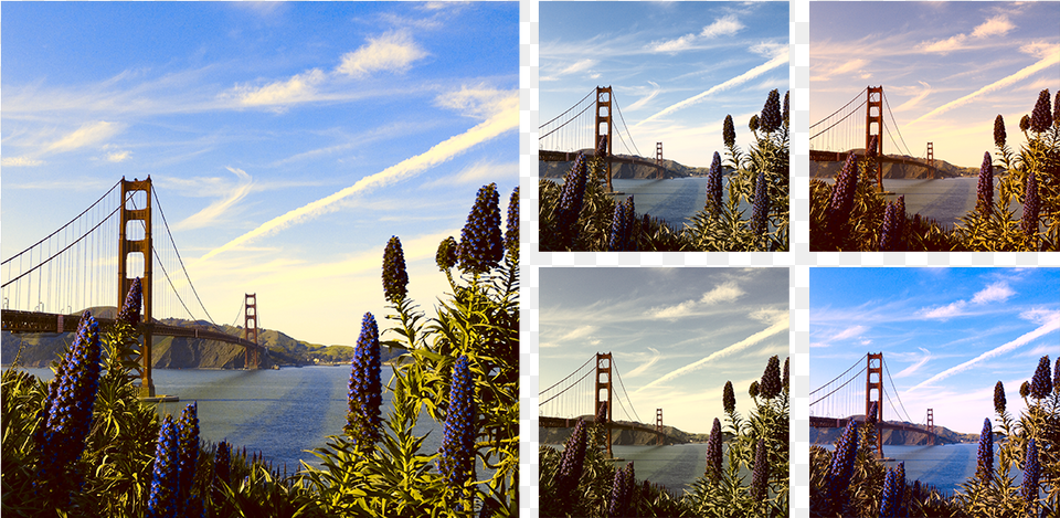 View Larger Golden Gate Bridge, Art, Collage, Plant, Tree Png Image