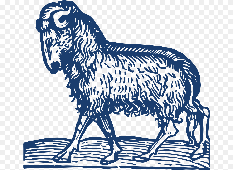 View Larger Image Aries, Animal, Livestock, Mammal, Sheep Png