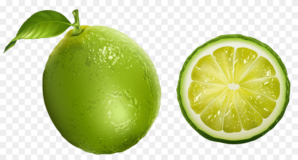 View Lime Clipart, Citrus Fruit, Food, Fruit, Plant Png