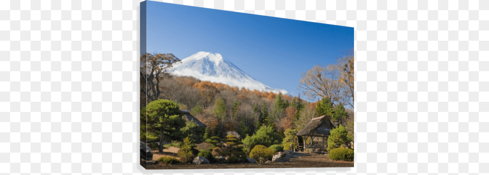 View Of Mount Fuji From A Japanese Garden Great Big Canvas Ap Lights Premium Thick Wrap Canvas, Architecture, Tree, Shelter, Rural Free Png Download