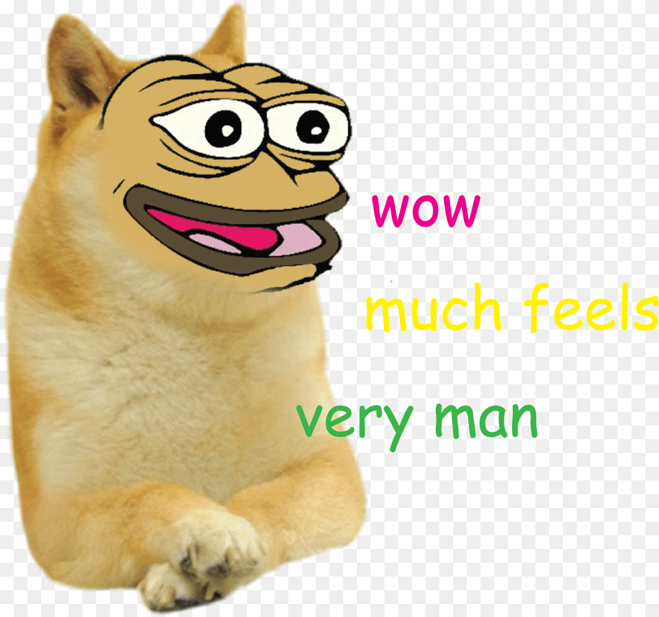 View Samegoogleiqdbsaucenao Wow Such Doge Pepe, Animal, Cat, Mammal, Pet Free Png Download