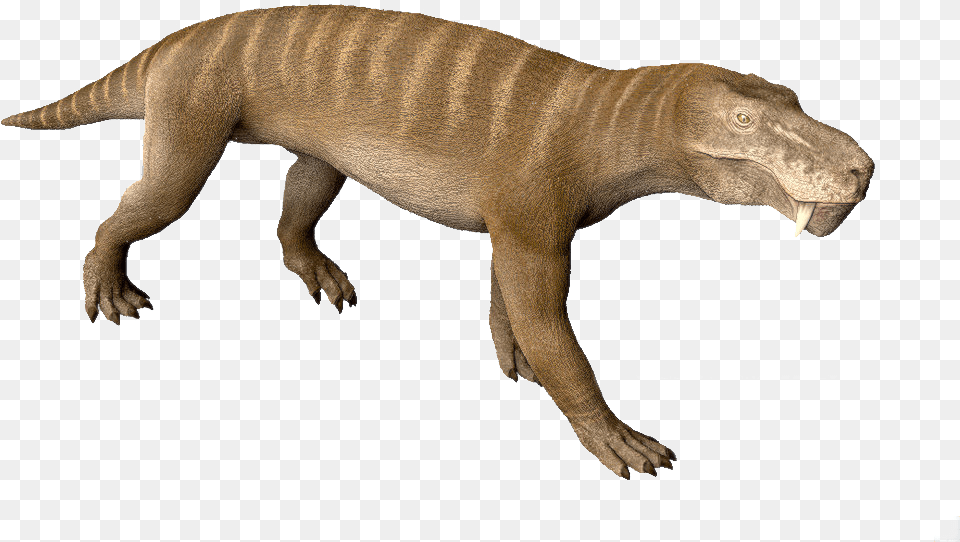 View Samegoogleiqdbsaucenao Orig Gorgonopsid Dinosaur, Animal, Reptile, T-rex Free Png Download