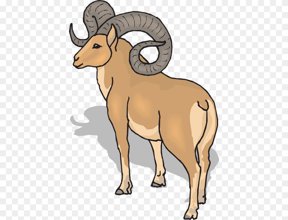 View Shadow Sheep Ram Clipart, Animal, Mammal, Livestock, Adult Free Png Download