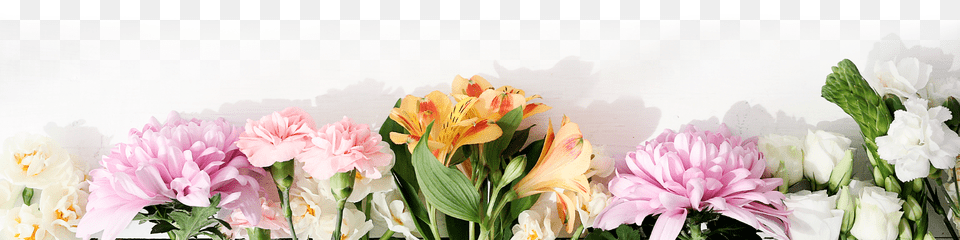 View Signature Collection Bottom Flower Design, Flower Arrangement, Flower Bouquet, Plant, Petal Free Png