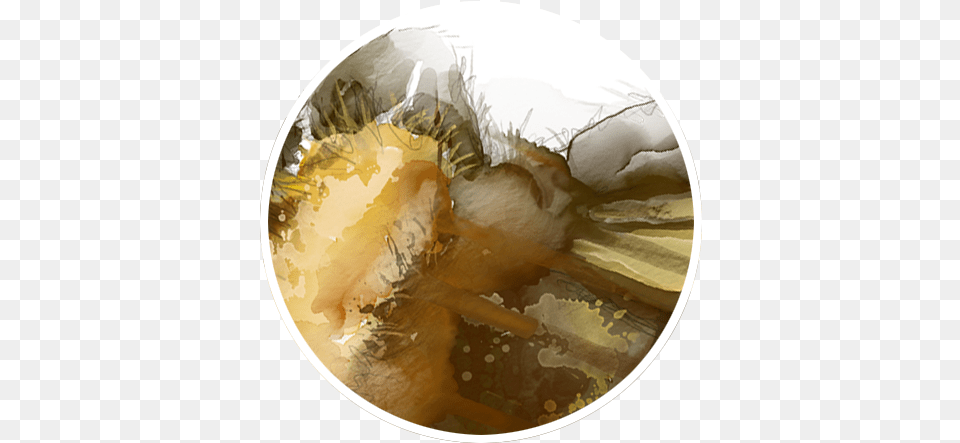 View The Gallery Art, Painting, Sphere, Photography, Animal Free Png Download