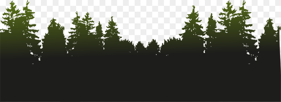 View Vector Forest Forest, Conifer, Fir, Green, Tree Png Image