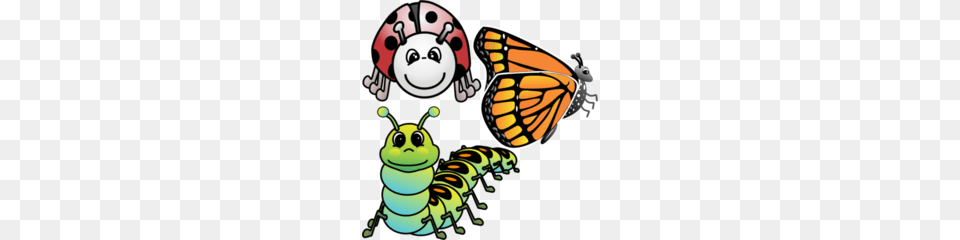 Viewing, Animal, Butterfly, Insect, Invertebrate Free Transparent Png