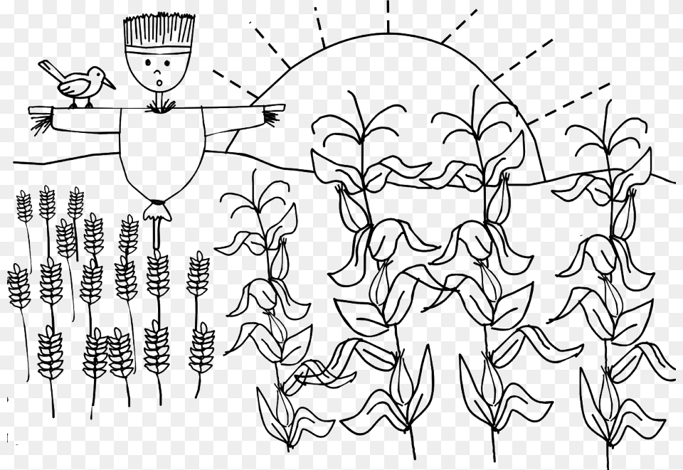 Viewing Gallery For Corn Stalk Coloring Pages Corn Field Coloring Page, Art, Drawing, Animal, Bird Png