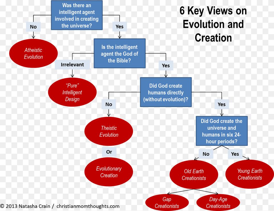 Views On Evolution And Creation Evolution Basics, Diagram, Uml Diagram Png