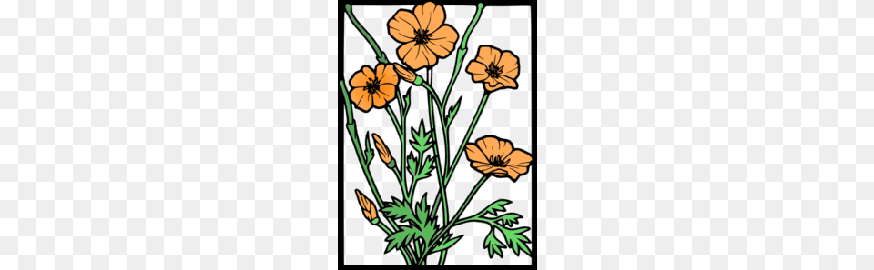 Views Pottery Ideas Poppy Clips California, Plant, Pattern, Graphics, Flower Free Transparent Png