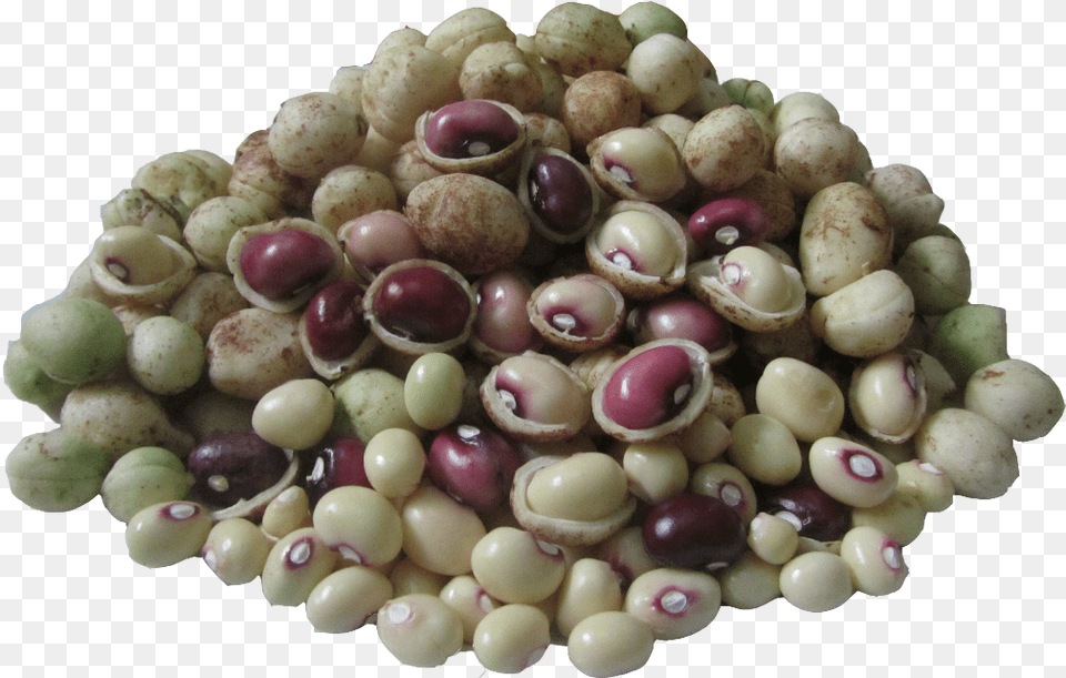 Vigna Subterranea, Food, Produce, Bean, Plant Png