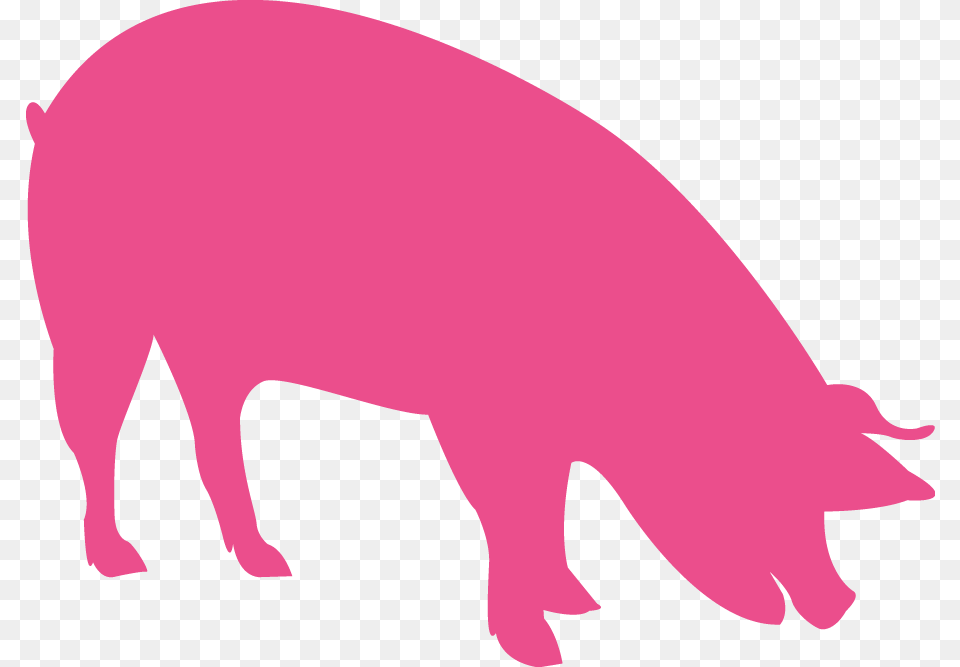 Vigorous Piglets And Finishers Icon Piglets, Animal, Boar, Hog, Mammal Free Png