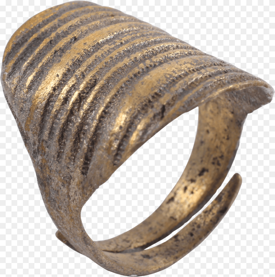 Viking Shield Ring C Bangle, Bronze, Cuff Png