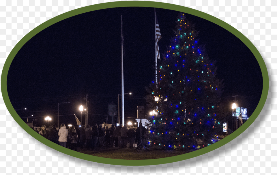 Village Events U2014 Of Creve Coeur Christmas Tree Lights, Plant, Fir, Lighting, Person Free Png